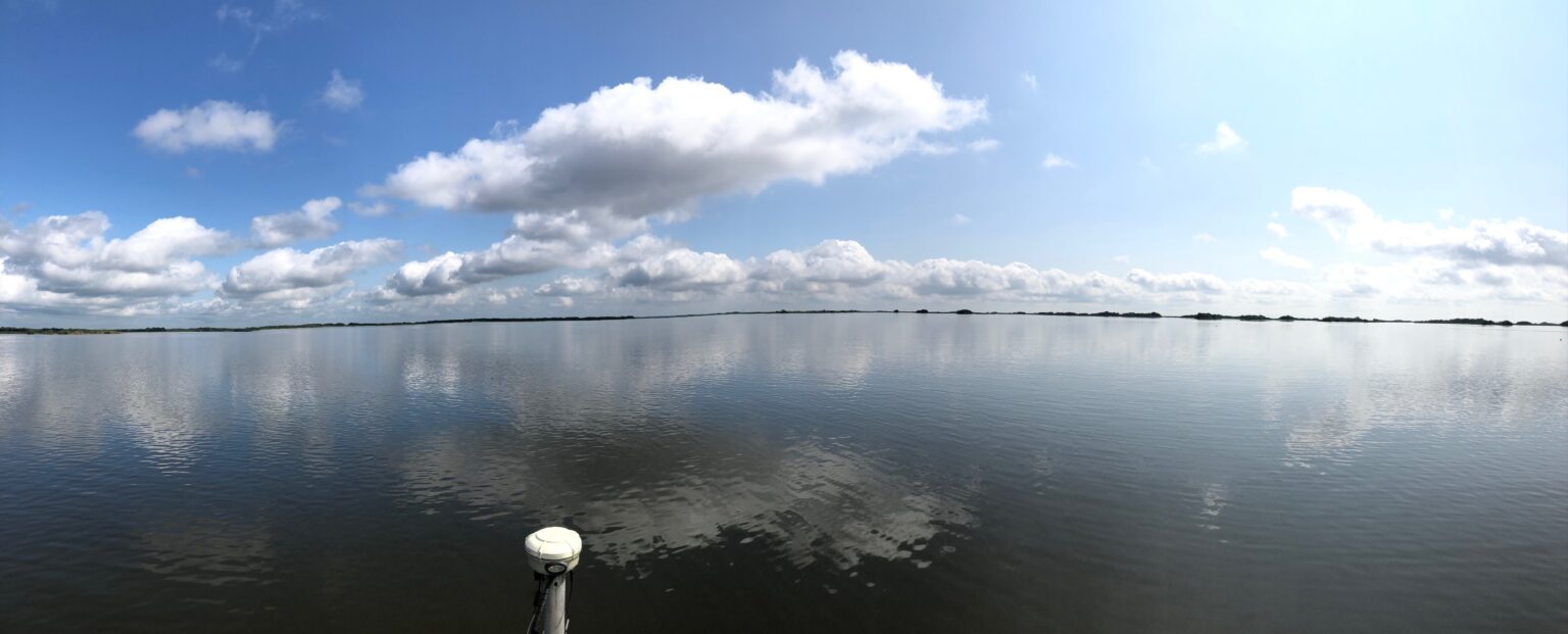 Coastal Resiliency: Rebuilding Critical Marshes in Louisiana - Freese ...